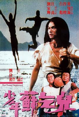 《善良岳母：我爱我的女婿》海报